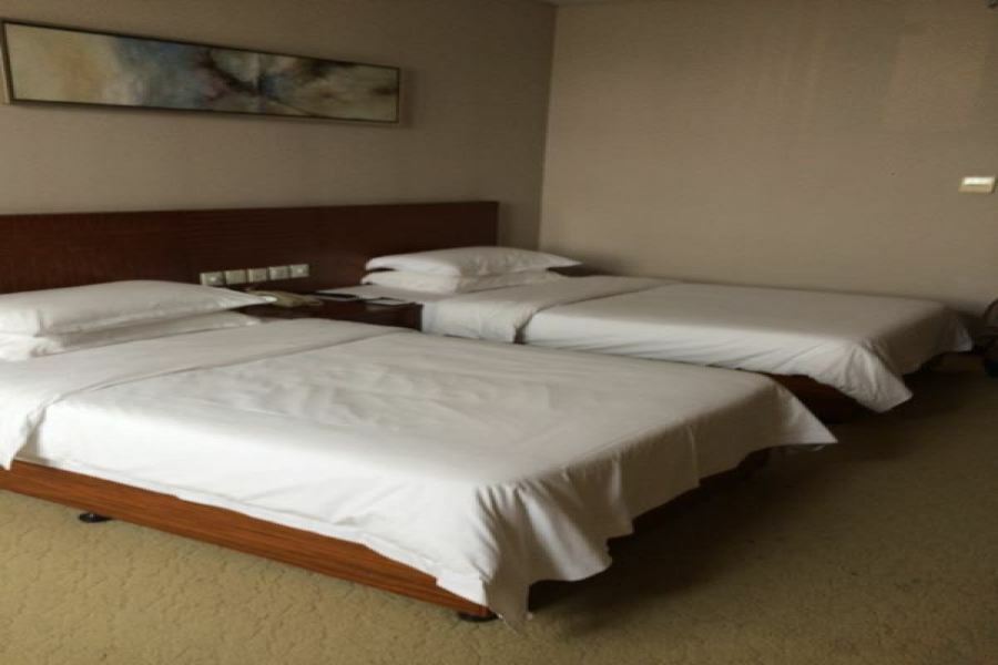 Nanjing Expo Center Hotel Extérieur photo