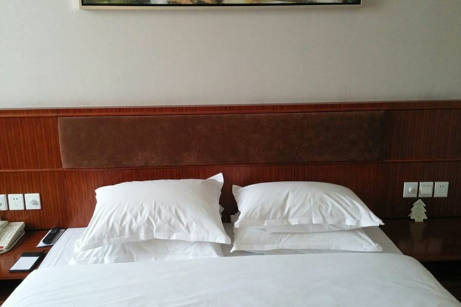 Nanjing Expo Center Hotel Extérieur photo