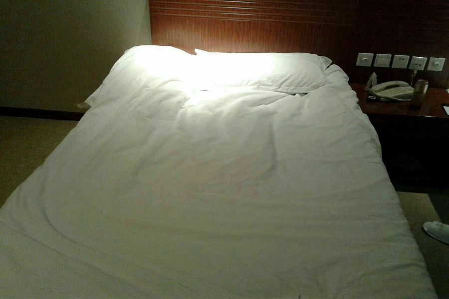 Nanjing Expo Center Hotel Extérieur photo